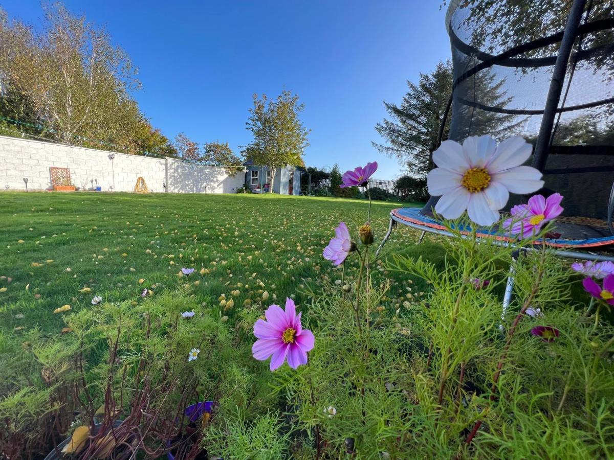 Bed and Breakfast Hillview Эннискерри Экстерьер фото